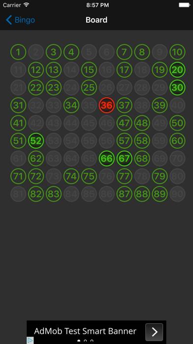 Bingo game screenshot