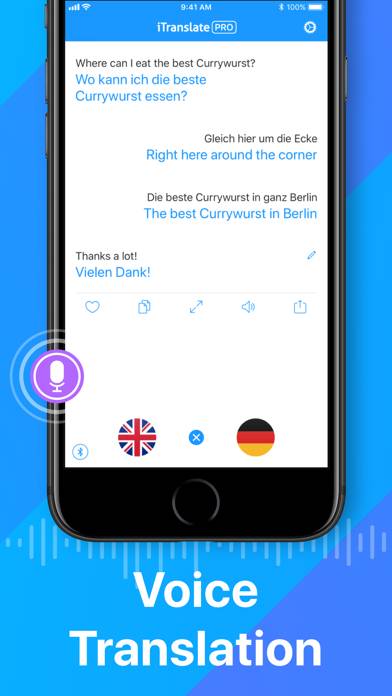 ITranslate Translator Schermata dell'app #2