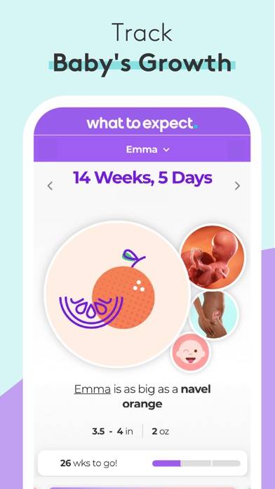 Pregnancy & Baby Tracker Uygulama ekran görüntüsü #1