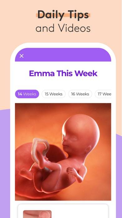 Pregnancy & Baby Tracker Uygulama ekran görüntüsü #2