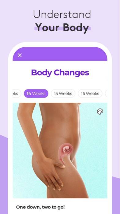 Pregnancy & Baby Tracker Uygulama ekran görüntüsü #3