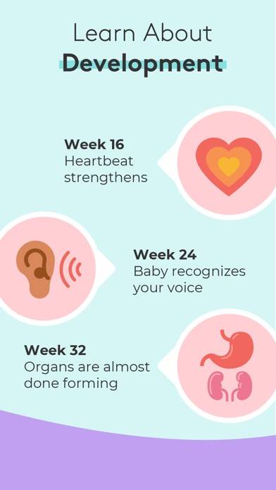 Pregnancy & Baby Tracker Uygulama ekran görüntüsü #4