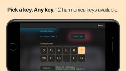 Harmonica App skärmdump #4