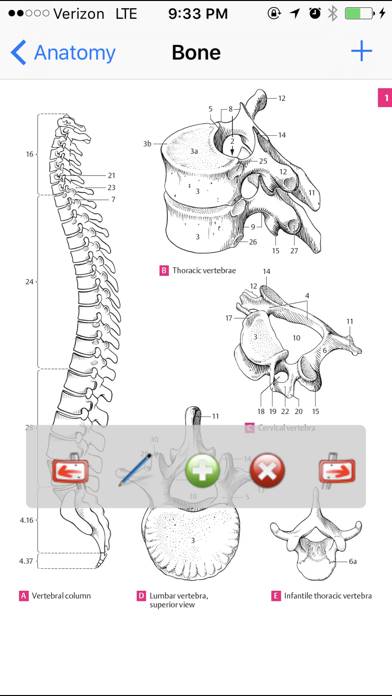 Anatomy Atlas App skärmdump #1