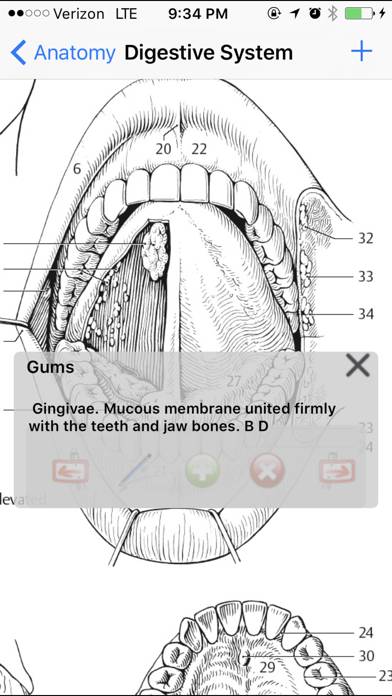 Anatomy Atlas App skärmdump #3