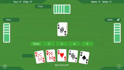 Euchre ^ game screenshot