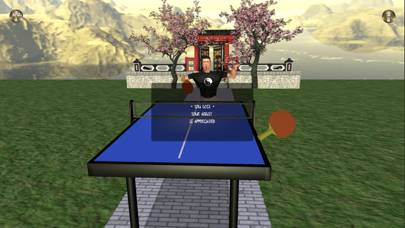 Zen Table Tennis Uygulama ekran görüntüsü #3