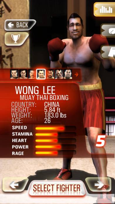 Iron Fist Boxing Capture d'écran de l'application #2