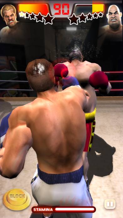 Iron Fist Boxing App-Screenshot #5