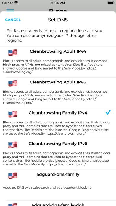 Purge: Porn Blocker & Safe DNS App screenshot