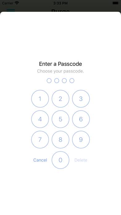 Purge: Porn Blocker & Safe DNS App screenshot