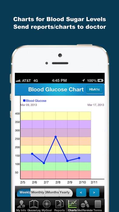 IDiabetes™ App screenshot #1
