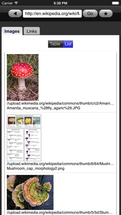 Web Images App screenshot #2