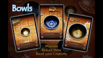 Bowls App-Screenshot #2