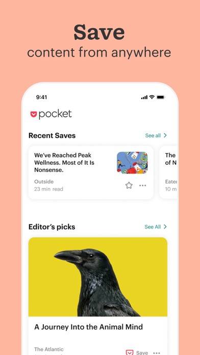 Pocket: Stay Informed Uygulama ekran görüntüsü #4