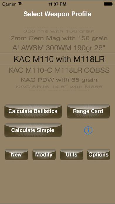 Bullet Flight L2 captura de pantalla