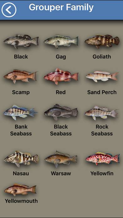Fish the Gulf App screenshot #3