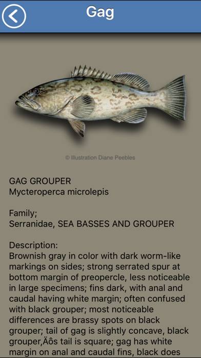 Fish the Gulf App screenshot #4