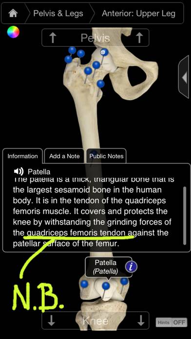 Skeleton System Pro III-iPhone Uygulama ekran görüntüsü #2