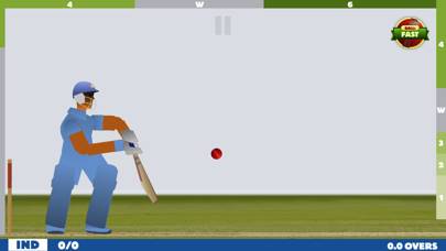 Touch Cricket game screenshot