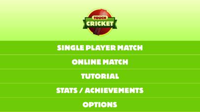 Touch Cricket game screenshot