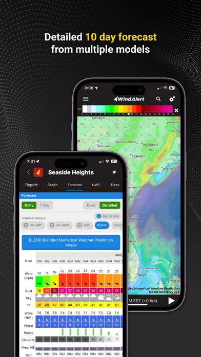 WindAlert: Wind & Weather Map App screenshot #3