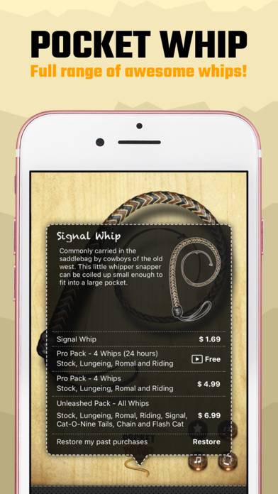Pocket Whip: Original Whip App App screenshot #4