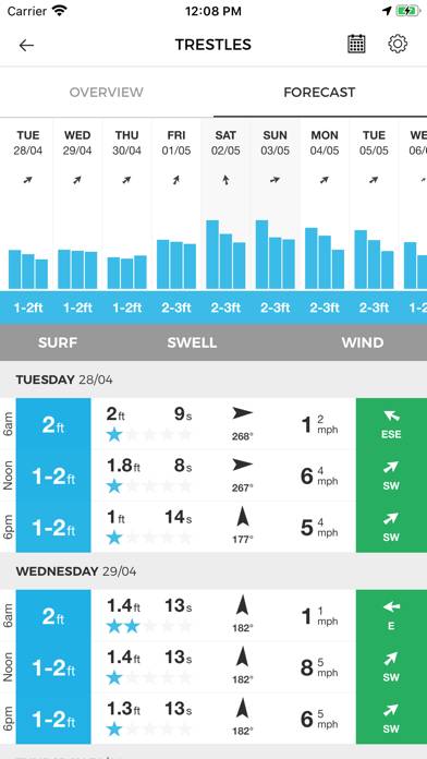 MSW Surf Forecast Capture d'écran de l'application #3