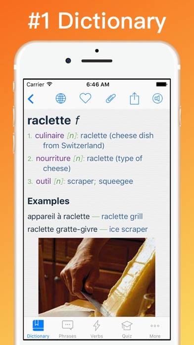 French Dictionary plus Capture d'écran de l'application #1