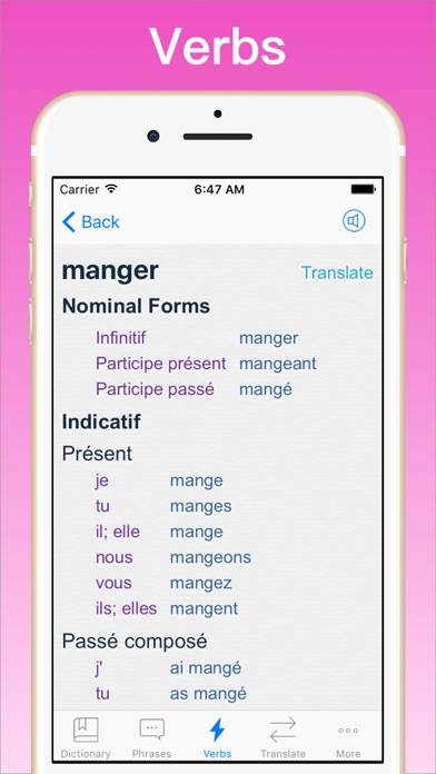 French Dictionary plus Capture d'écran de l'application #4