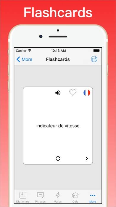 French Dictionary plus Uygulama ekran görüntüsü #6