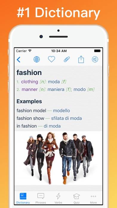 Italian Dictionary plus App skärmdump #1