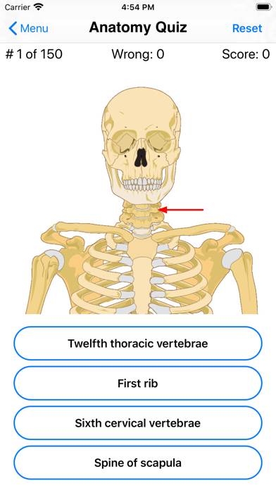 Anatomy Quiz App skärmdump #5