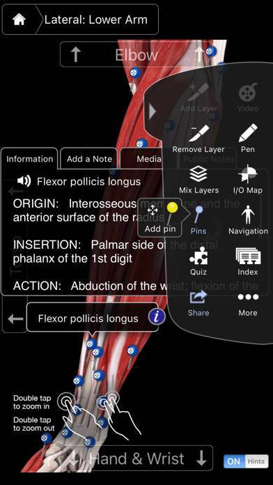 Muscle System Pro III Schermata dell'app #4