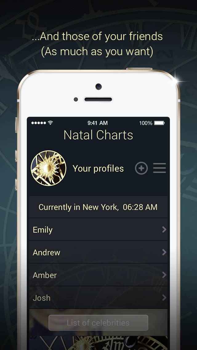 Natal Charts App screenshot #2