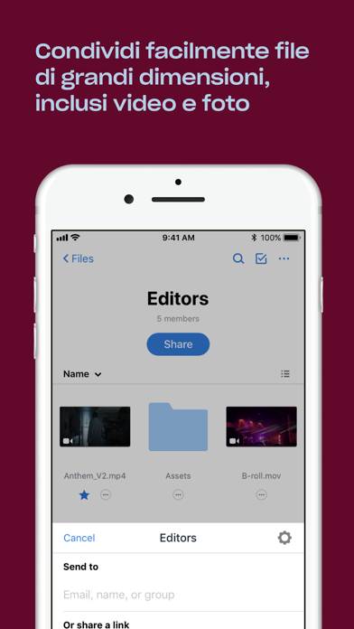 Dropbox: Cloud & Photo Storage Schermata dell'app #4