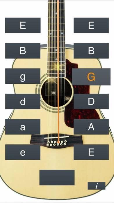 12-String Guitar Tuner Simple Capture d'écran de l'application #2