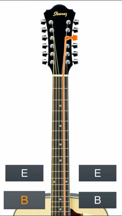 12-String Guitar Tuner Simple Capture d'écran de l'application #4
