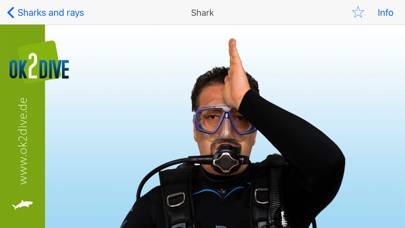 Dive Signals App-Screenshot #4