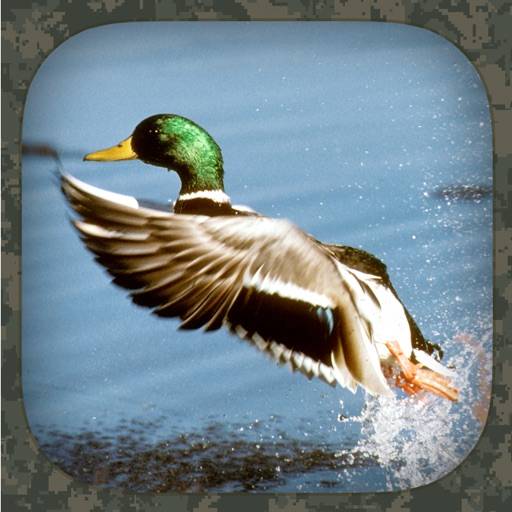 Duck Hunting Calls App Download [Updated Nov 16] Free Apps for iOS