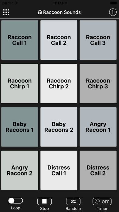 Raccoon Sounds App screenshot #1