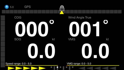 IRegatta Pro Captura de pantalla de la aplicación #2