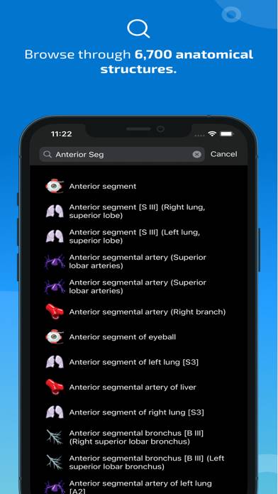 IMAIOS e-Anatomy Capture d'écran de l'application #3