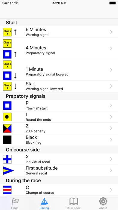 IRegatta Flags Uygulama ekran görüntüsü #3