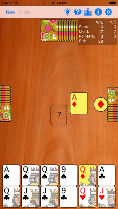 Pinochle Gold game screenshot