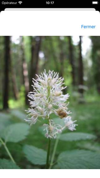 Homéopathie Capture d'écran de l'application