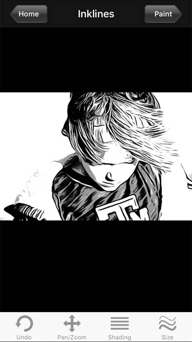 ToonPAINT App screenshot