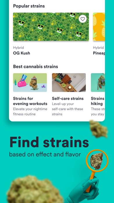 Weedmaps: Buy Local Weed App screenshot