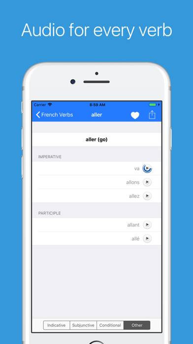 French Verb Conjugator Pro App screenshot #2