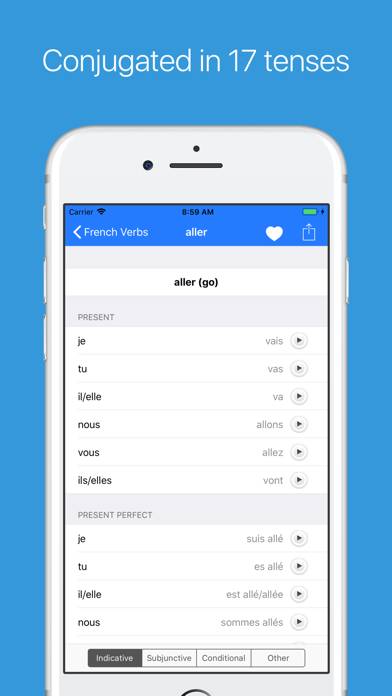 French Verb Conjugator Pro App screenshot #3